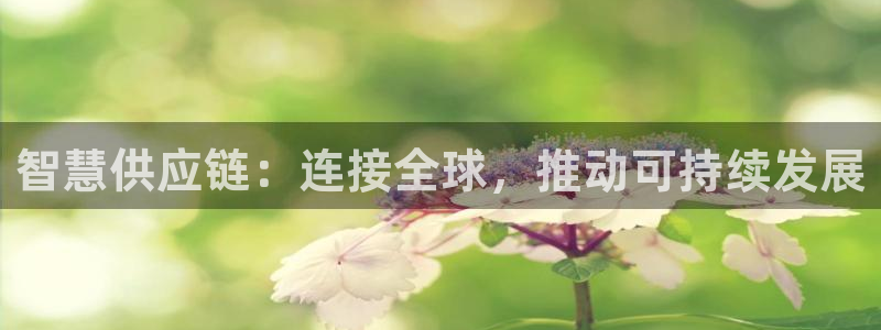 ,优游国际充值不到账怎么办：智慧供应