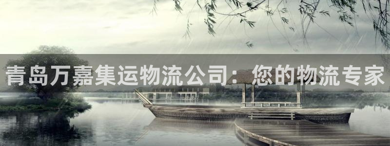 ,优游国际加拿大下载：青岛万嘉集运物流公司：您的物流专家