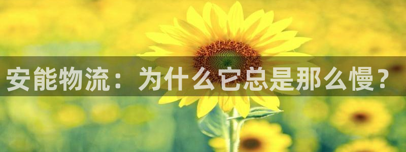 ,优游国际模拟器在线使用：安能物流：