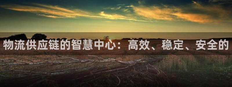 优游国际官网入口pc正版：物流供应链