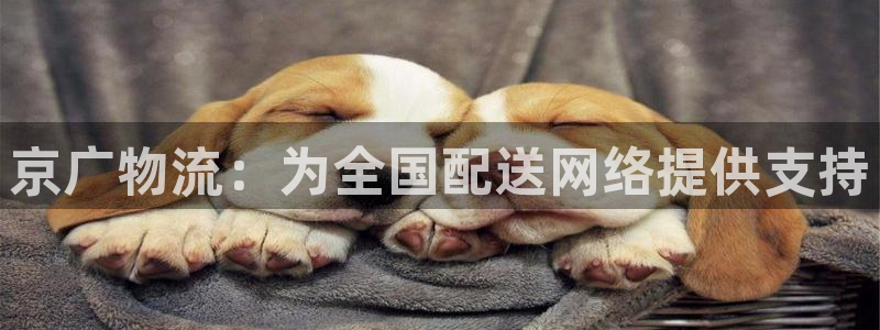 ,优游国际黑平台吗：京广物流：为全国
