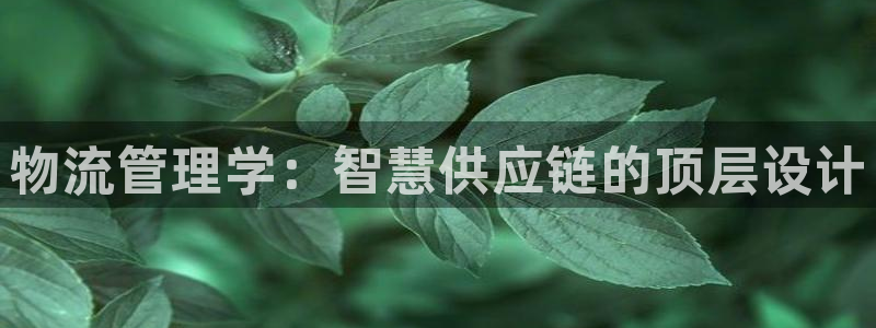 ,优游国际登录流程：物流管理学：智慧供应链的顶层设计