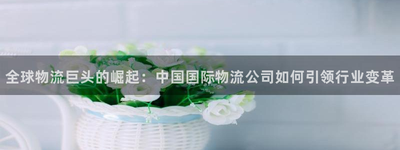 ,优游国际怎么下载：全球物流巨头的崛