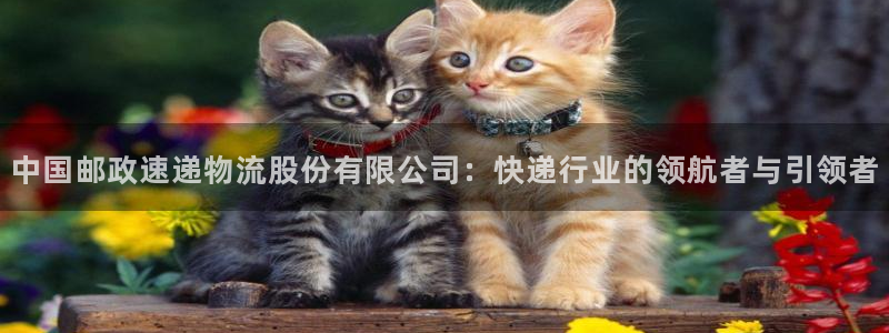 ,优游国际比特28真实吗：中国邮政速