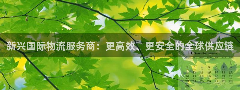 ,优游国际电子：新兴国际物流服务商：