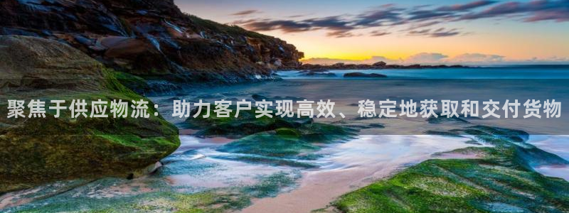 ,优游国际防失联网址：聚焦于供应物流