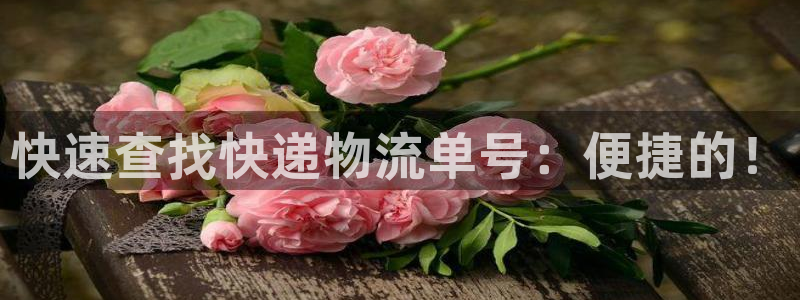 ,优游国际预测：快速查找快递物流单号