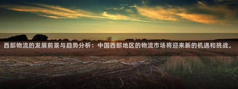 ,优游国际登录用户名登录不上：西部物