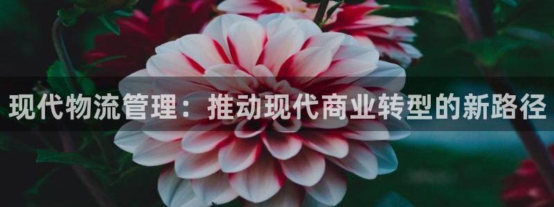 ,优游国际是正规平台吗：现代物流管理