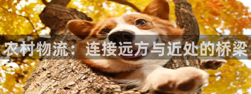 ,优游国际注册入口与教程：农村物流：