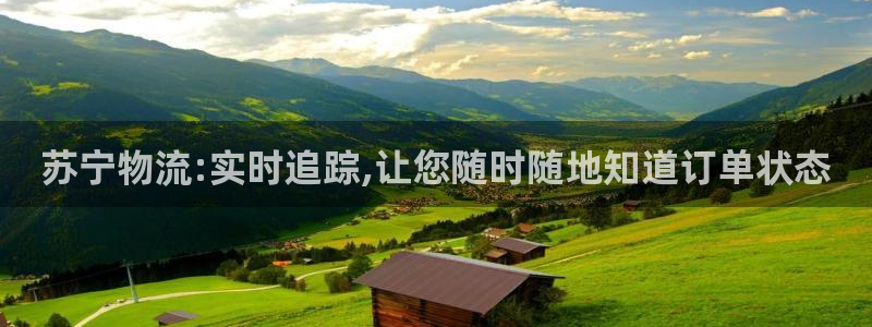 ,优游国际加拿大:苏宁物流:实时追踪