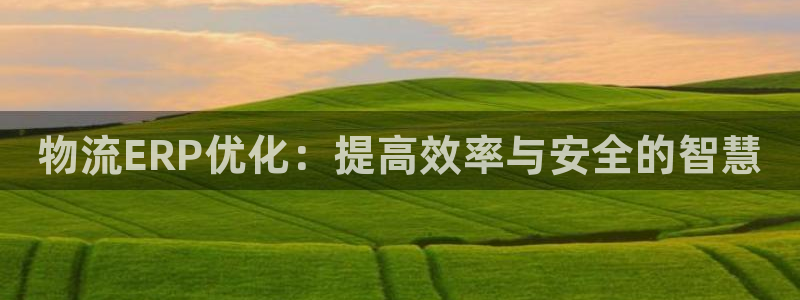 ,优游国际能不能退:物流ERP优化: