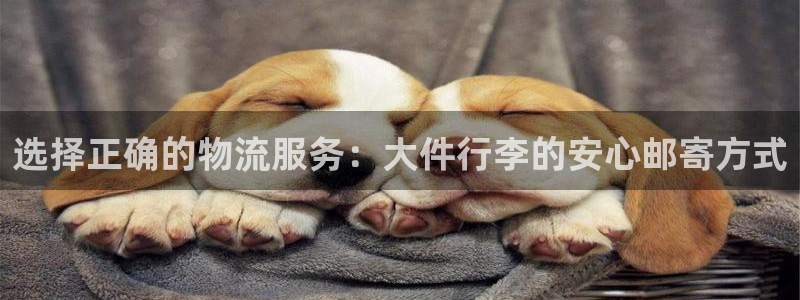 ,优游国际为什么打不开:选择正确的物