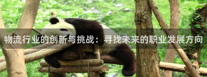 ,优游国际吧：物流行业的创新与挑战：