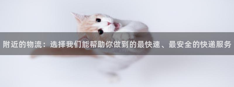 ,优游国际官网版所有版本