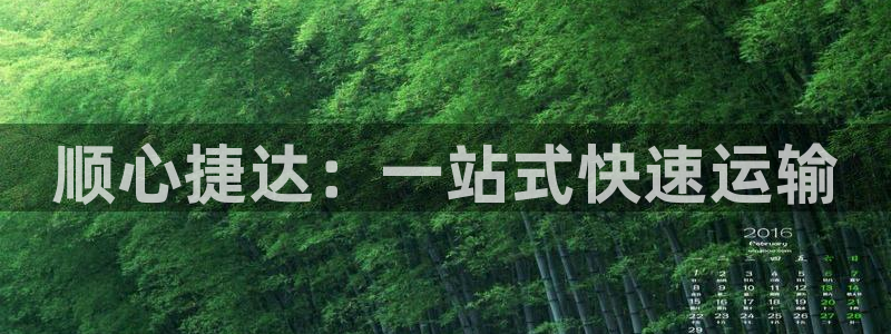 ,优游国际现在狂杀:顺心捷达:一站式