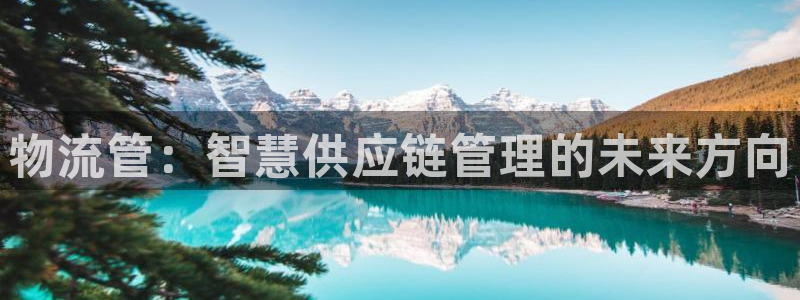 ,优游国际能提现吗：物流管：智慧供应