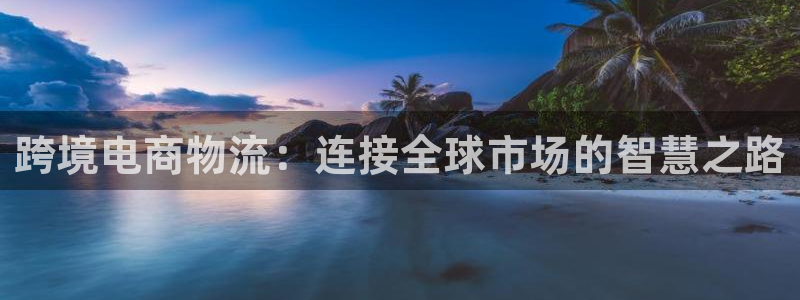 优游国际官网下载加拿大：跨境电商物流