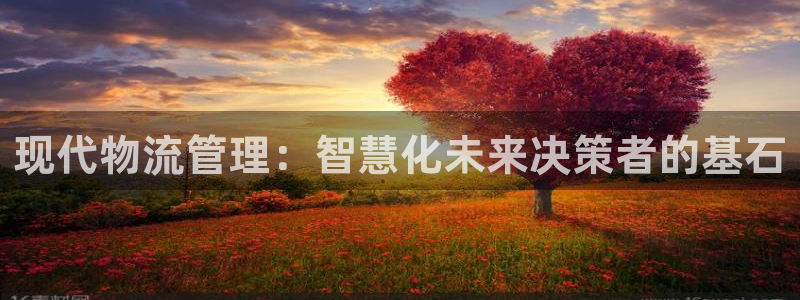 ,优游国际网赌有什么风险:现代物流管