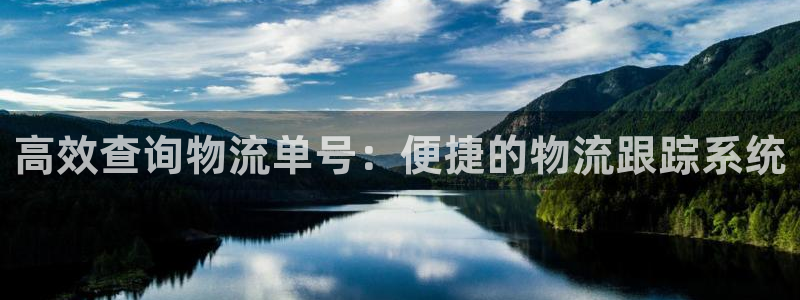 ,优游国际如何看计划:高效查询物流单