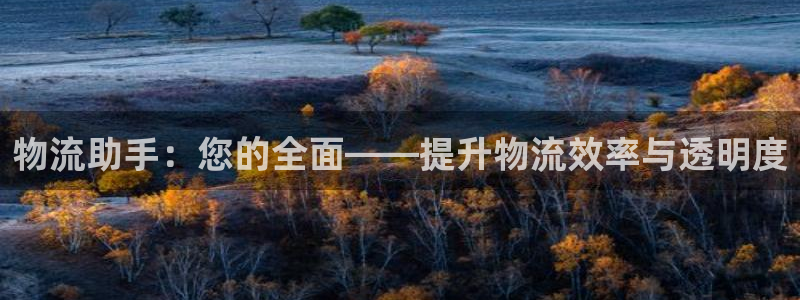 ,优游国际黑不黑：物流助手：您的全面
