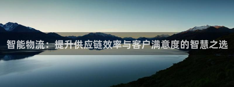 优游国际官网下载谁有:智能物流:提升