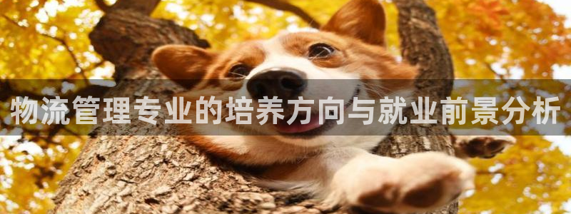 ,优游国际正规吗：物流管理专业的培养