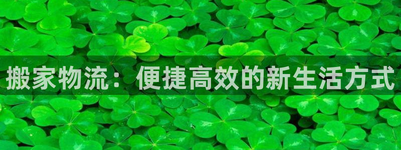 优游国际官网入口pc是诈骗吗?：搬家