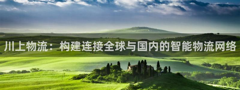 优游国际官网入口：川上物流：构建连接