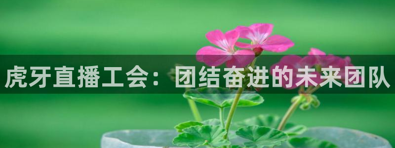 龙门比赛直播：虎牙直播工会：团结奋进的未来团队