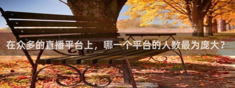 龙门直播足球：在众多的直播平台上，哪一个平台的人数最为庞大？