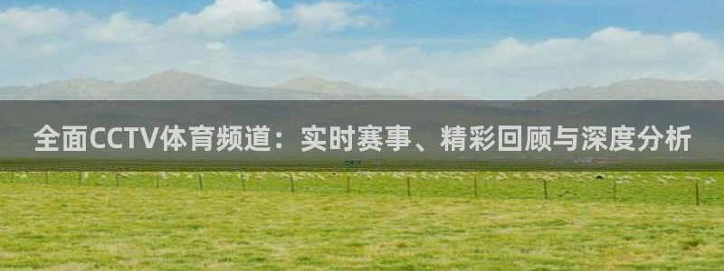 龙门体育免费直播：全面CCTV体育频道：实时赛事、精彩回顾与深度分析