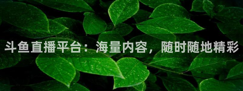 龙门体育频道在线直播：斗鱼直播平台：海量内容，随时随地精彩