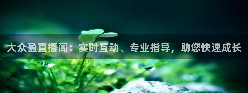 龙门体育直播在线观看：大众盈直播间：实时互动、专业指导，助您快速成长