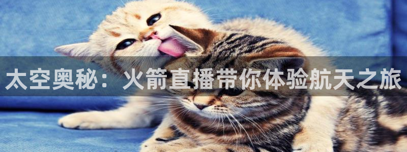 龙门直播下载：太空奥秘：火箭直播带你体验航天之旅