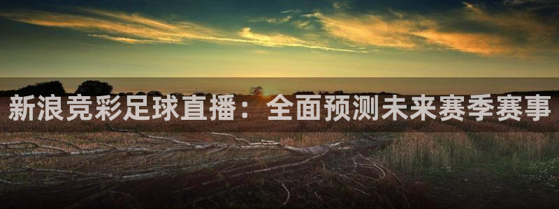 龙门直播nba下载：新浪竞彩足球直播：全面预测未来赛季赛事