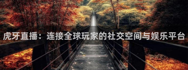 龙门直播免费体育直播：虎牙直播：连接全球玩家的社交空间与娱乐平台